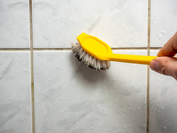Best Mold Cleaning Services  in Walterboro, SC