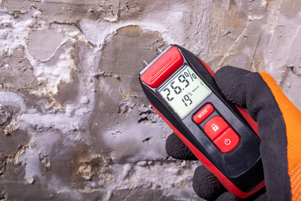 Best Crawl Space Mold Removal  in Walterboro, SC