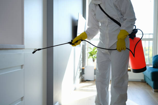 Best Professional Mold Removal  in Walterboro, SC