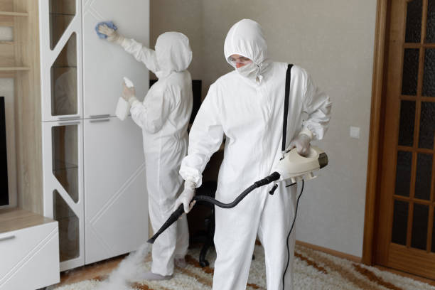 Professional Mold Removal in Walterboro, SC