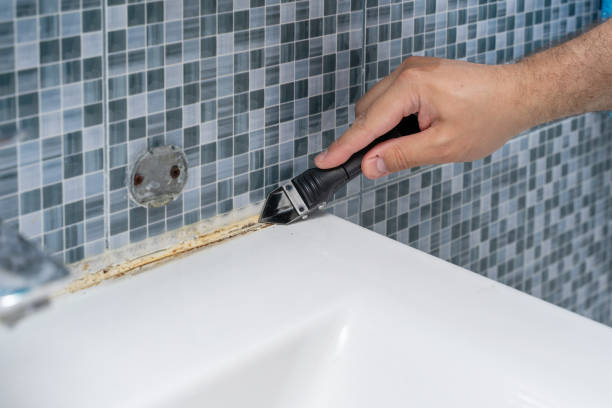 Walterboro, SC Mold Removal Pros